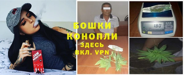 стаф Вяземский