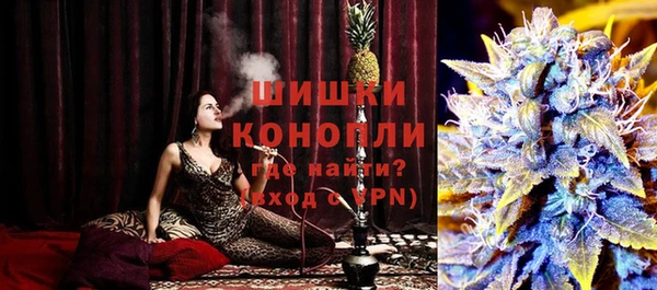 ПСИЛОЦИБИНОВЫЕ ГРИБЫ Бородино