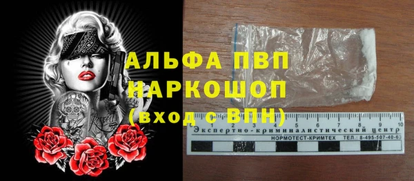 стаф Вяземский