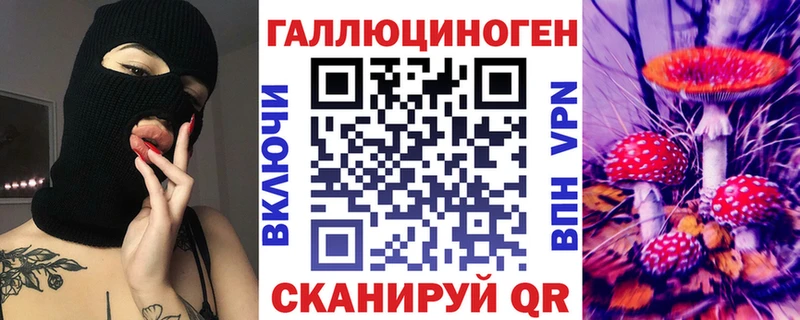 сколько стоит  Дубна  Псилоцибиновые грибы Psilocybe 